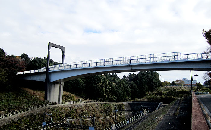 電車見橋