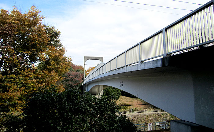 電車見橋