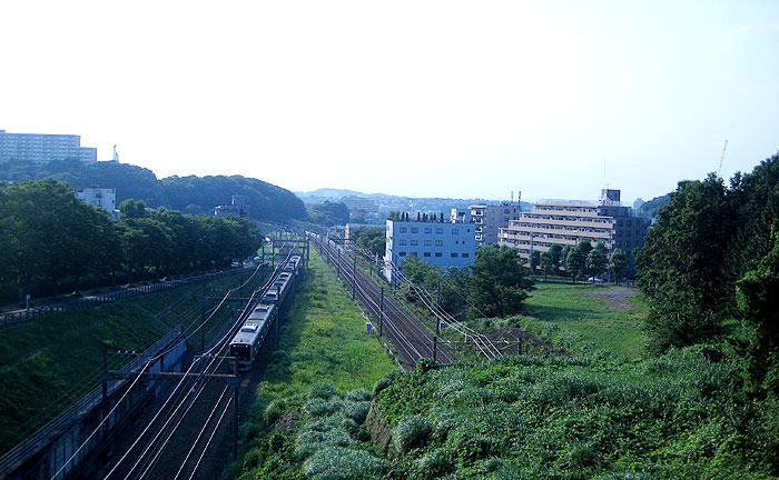 電車見橋