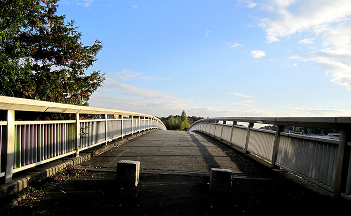 南野スカイブリッジ