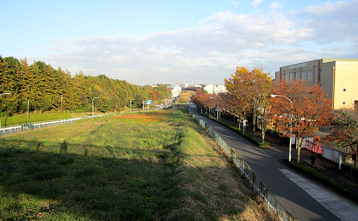 南野スカイブリッジ