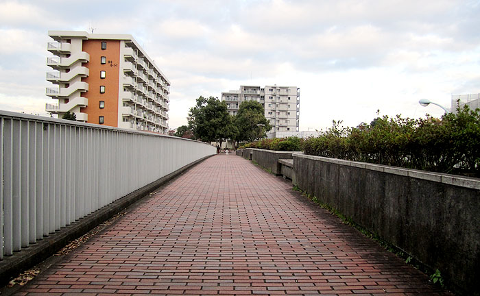 風の橋