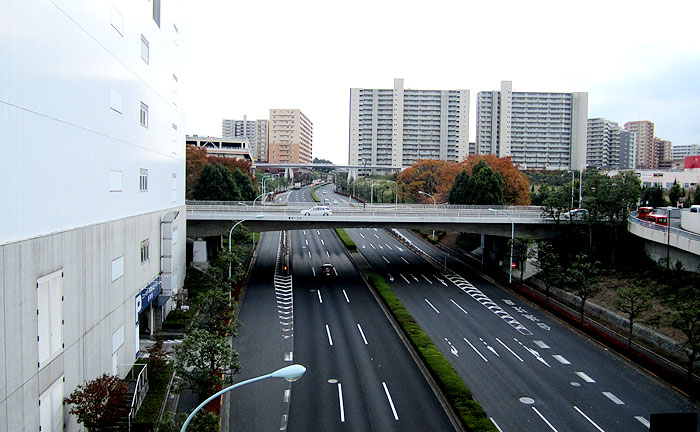 ゆうゆう橋