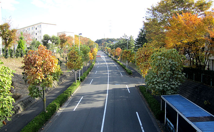 ふれあい橋