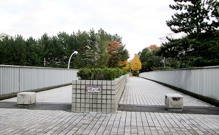 いちょう橋