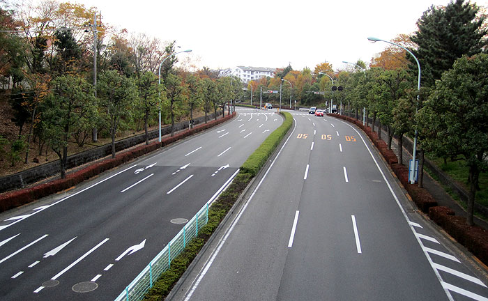 いちょう橋