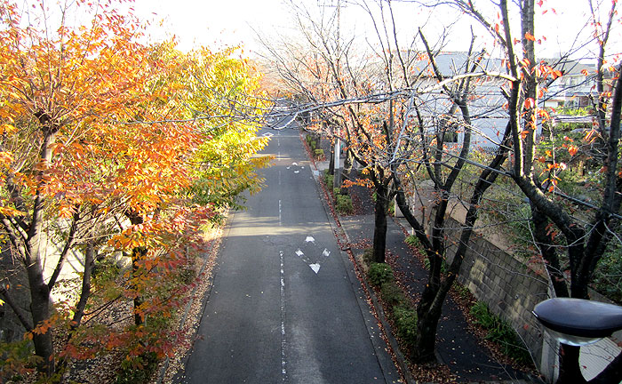 ささやき橋
