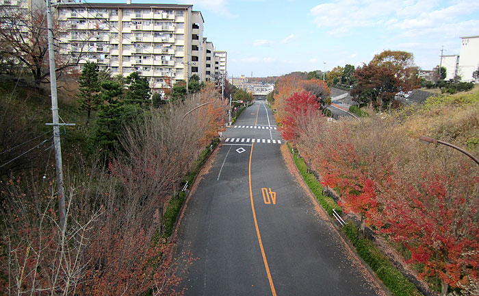 中諏訪橋