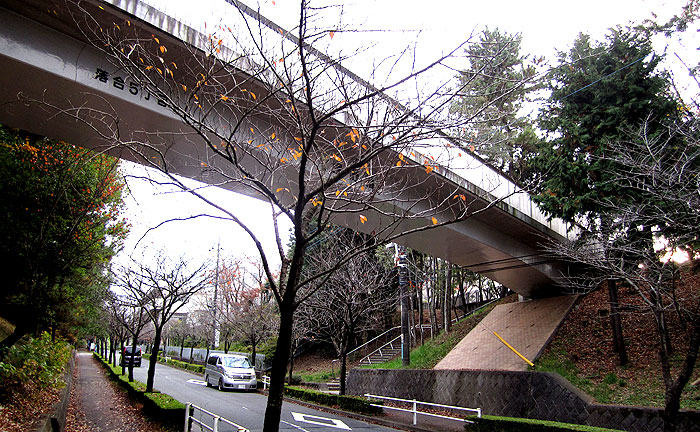 宝野橋