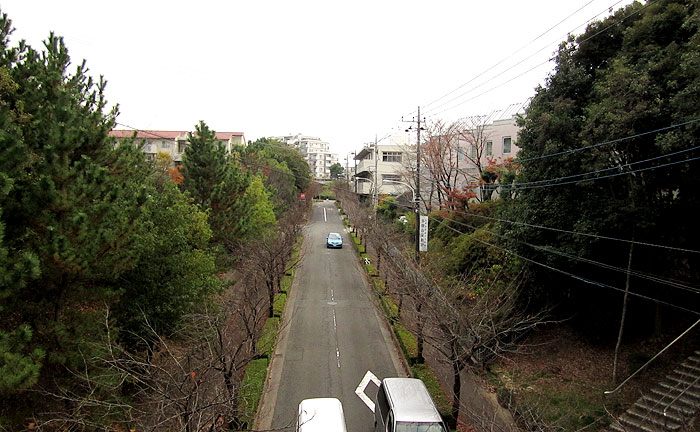 宝野橋