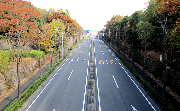 剣橋