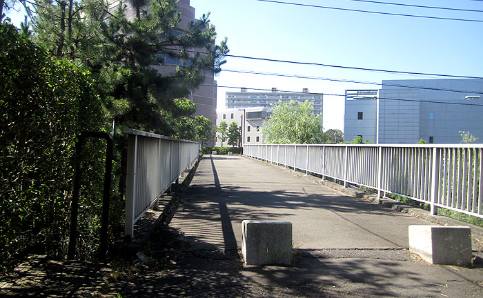 やなぎ橋