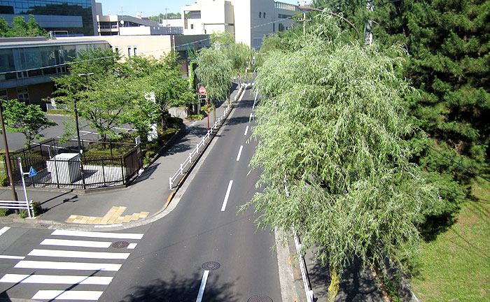 やなぎ橋