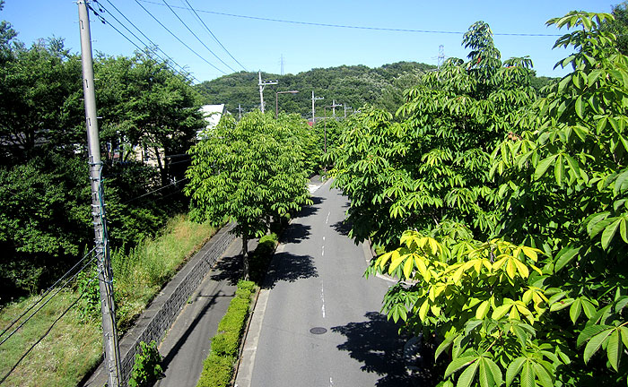おもいで橋