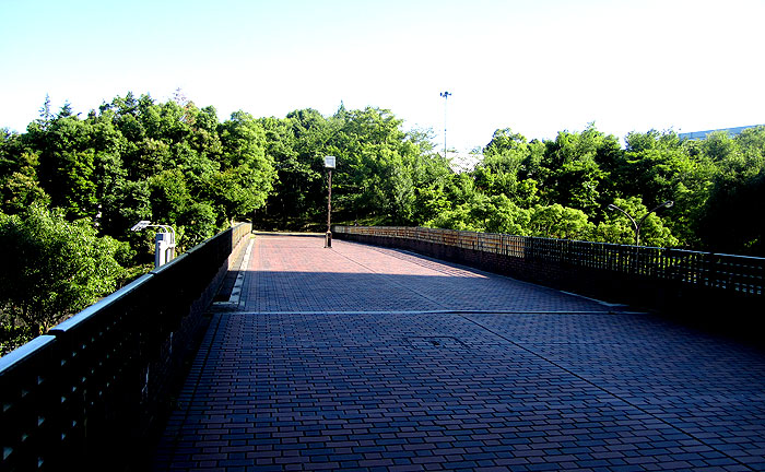 白山橋