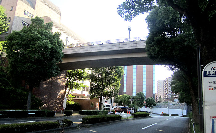 めぐみの橋