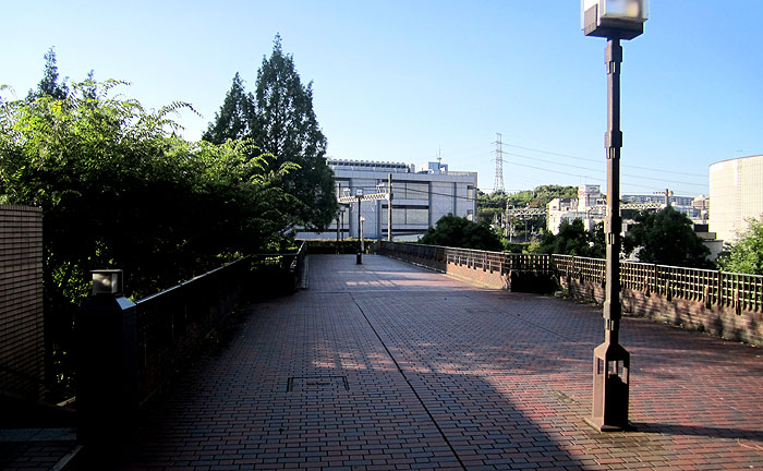 めぐみの橋