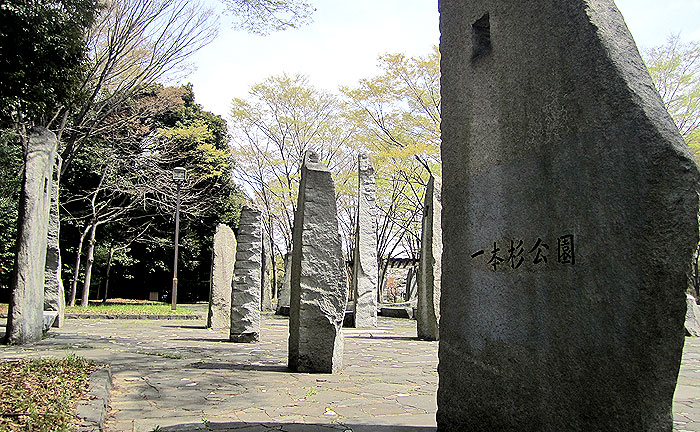 一本杉公園