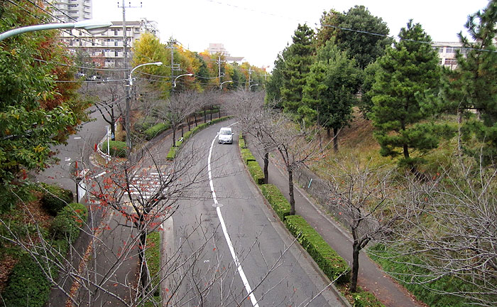 にしおち橋