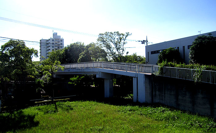 医者村橋