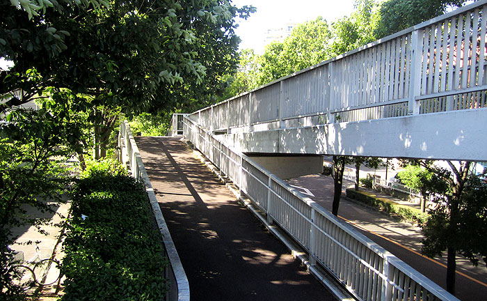医者村橋