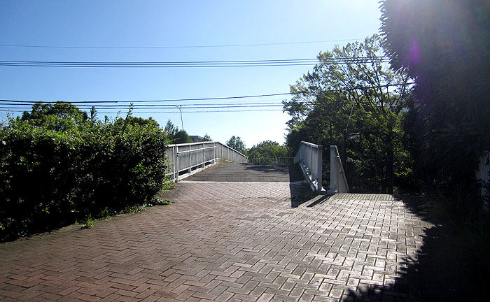 医者村橋