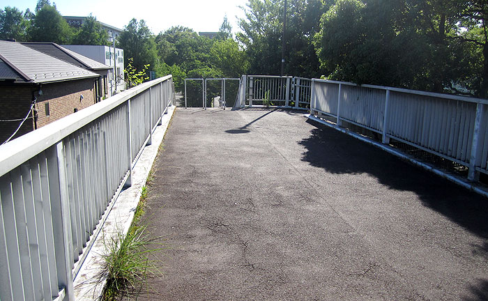 医者村橋