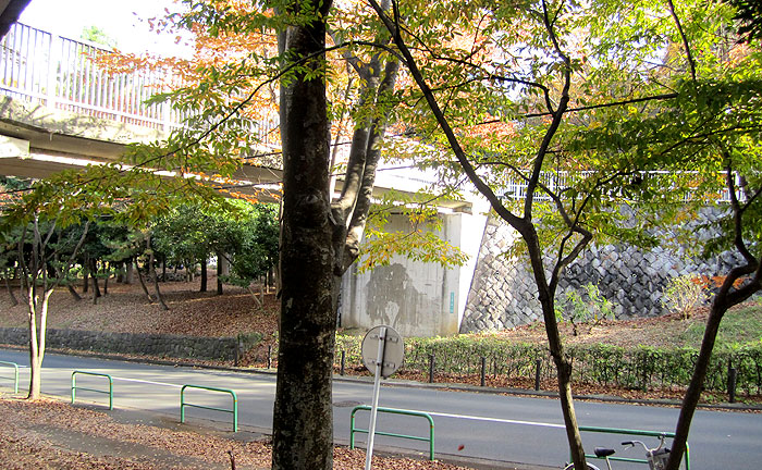 けやき橋