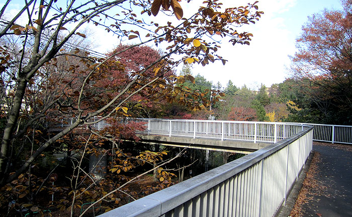 けやき橋