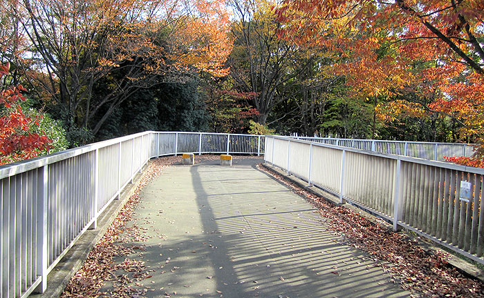 けやき橋
