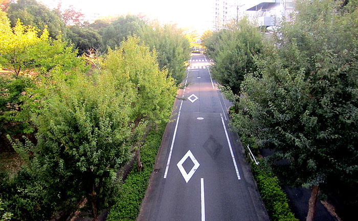 諏訪北橋