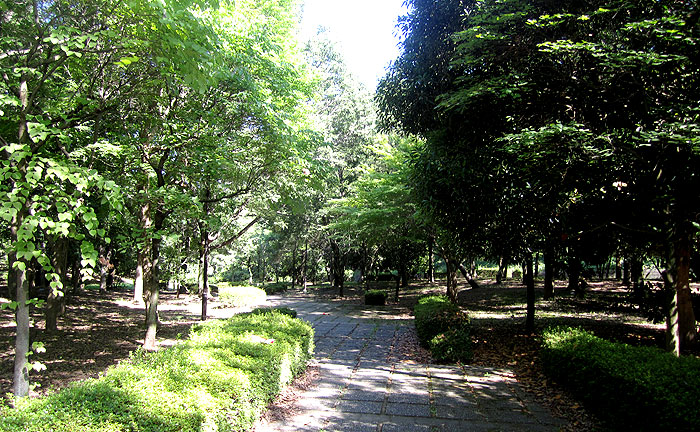 永山北公園