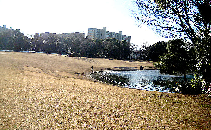 多摩中央公園