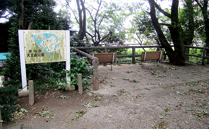 天王森公園