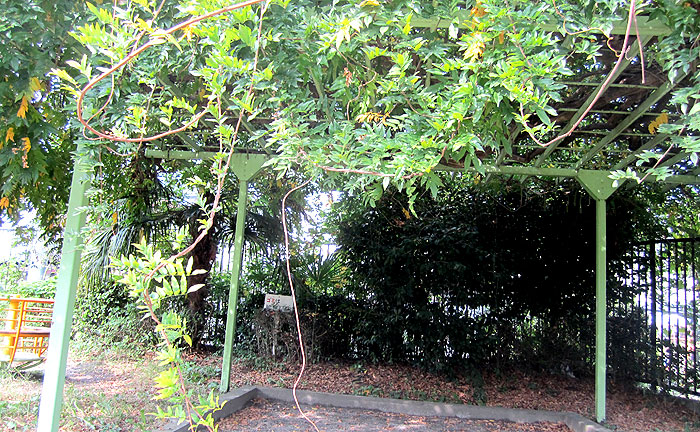 かじあがり公園