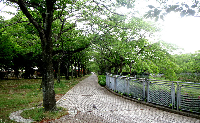 奈良原公園