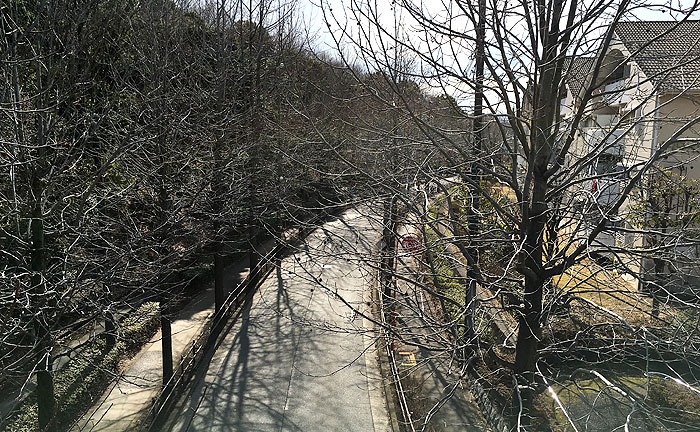 ふたて橋