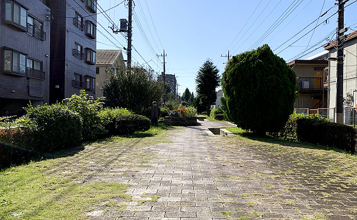 瓜生せせらぎ散歩道