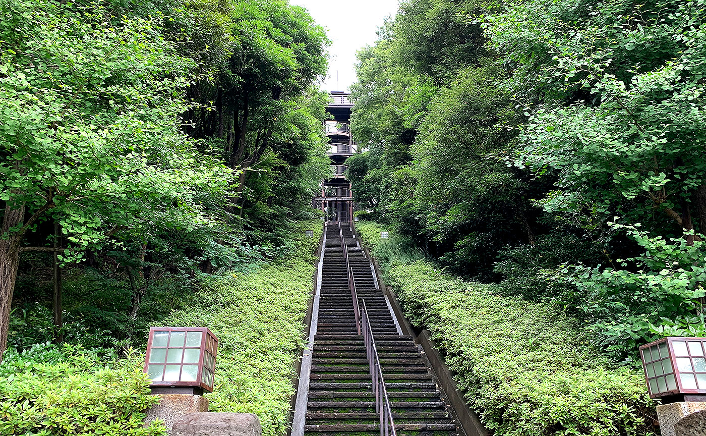 城山公園ファインタワー