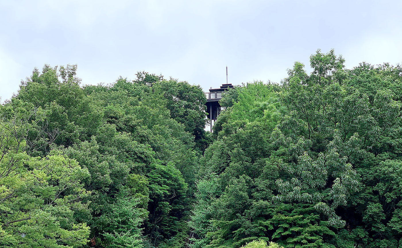 城山公園ファインタワー