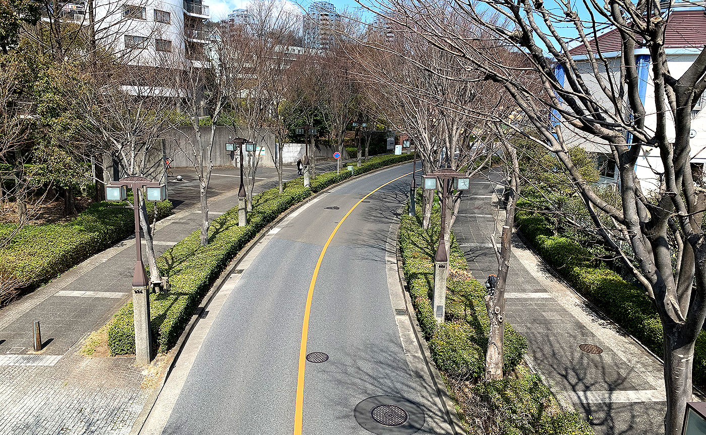 ホームラン橋