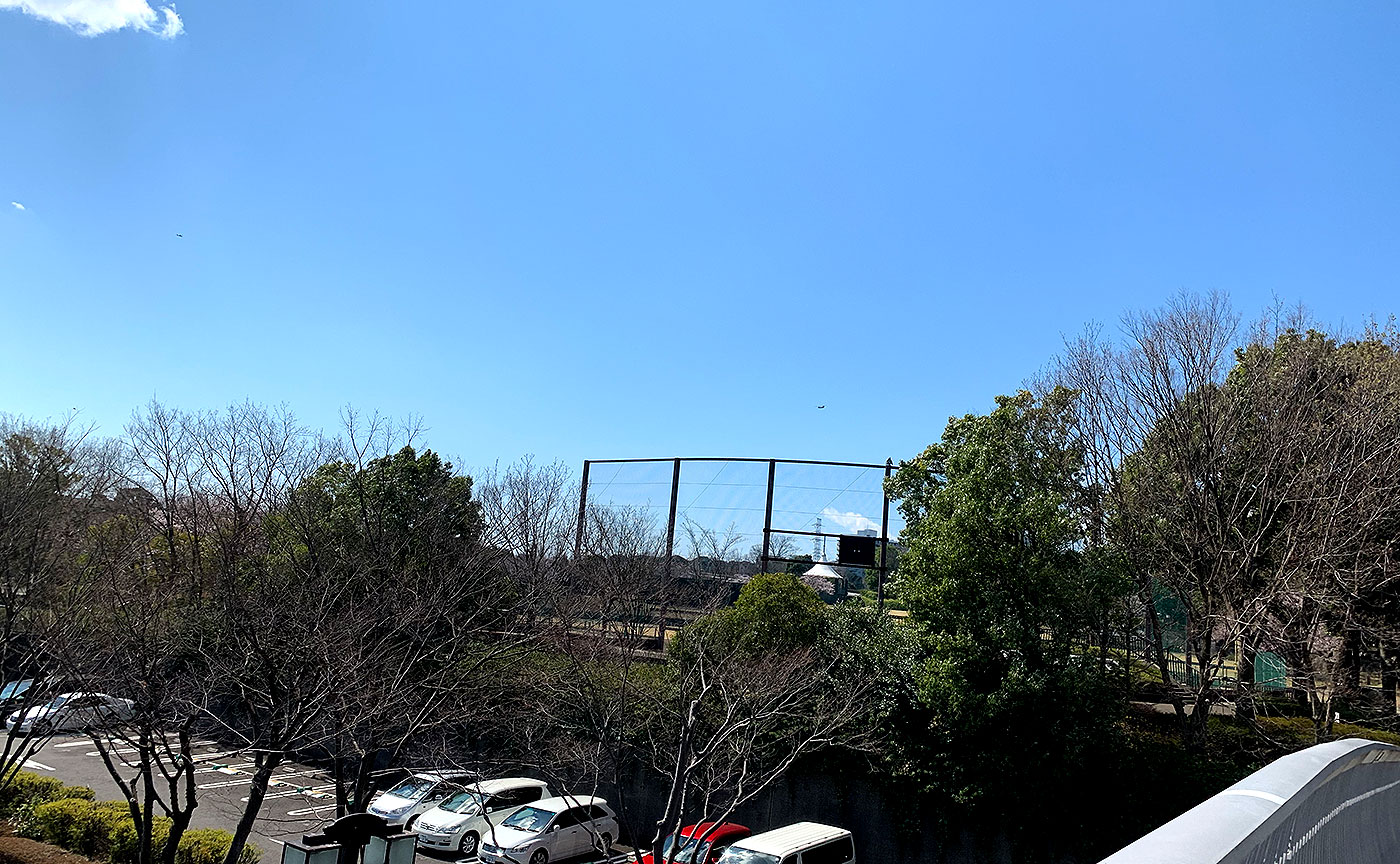 ホームラン橋