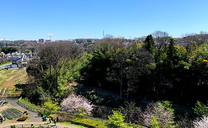 上谷戸大橋